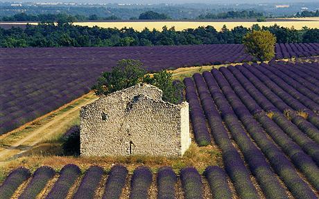 Provence, Lavender, Architectural salvage <script><figcaption id=