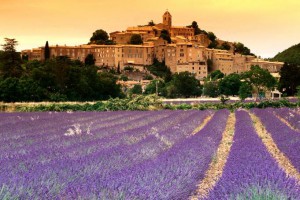 Provence France Lavender, Provence, Lavender, Architectural salvage tour, Sourcing antiques in France, Buying antiques in Provence, The Antiques Diva, Flea Market Finds