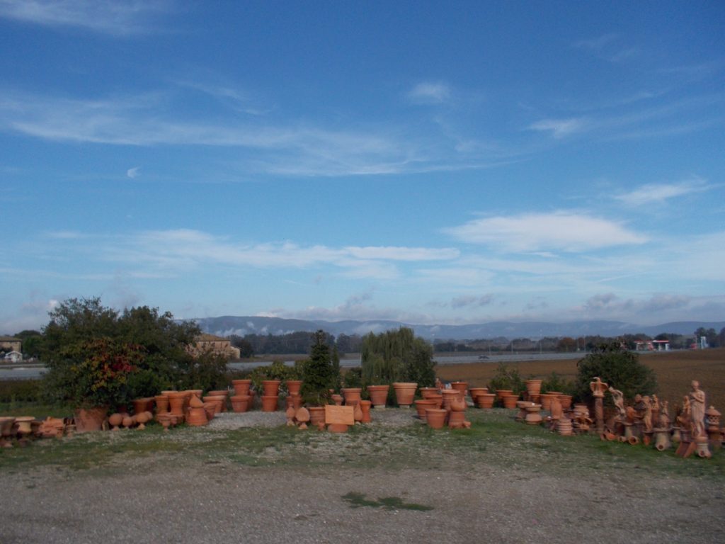 Sourcing Tuscan Pots From Estates, Italy  house clearing pot sale