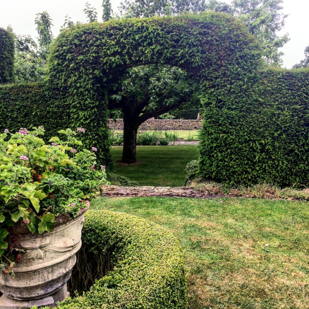 Garden Antiques in England- Ivy Hedge