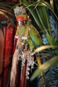 parrot adorned with Ara Vintage Jewelry