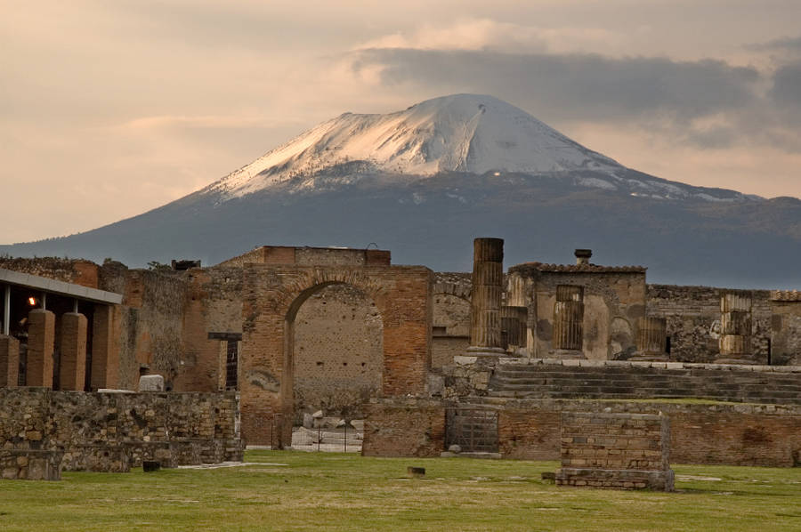 Pompeii | The NEW Neoclassical | The Antiques Diva