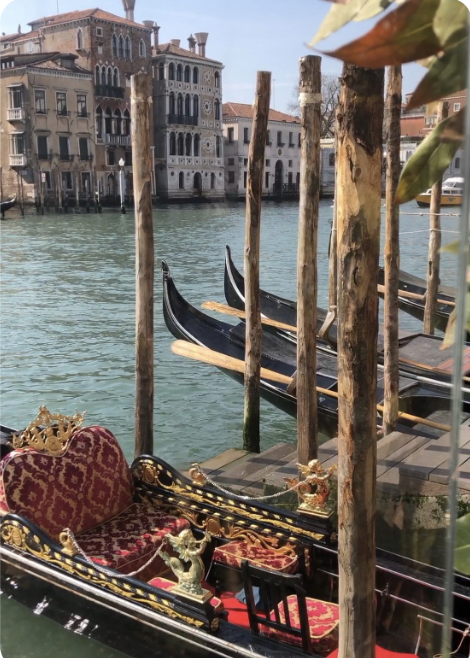 My Venice voyage | Toma Clark Haines The Antiques Diva 