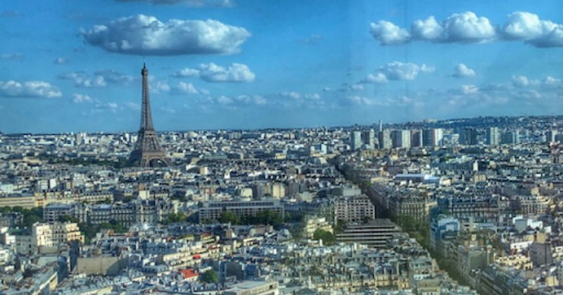 Paris Skies | Auntie Toma's Modern Day Grand European Tour | Toma Clark Haines | The Antiques Diva & Co